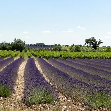 L'oustaou Provencal - Piscine Clim 度假居 Colonzelle